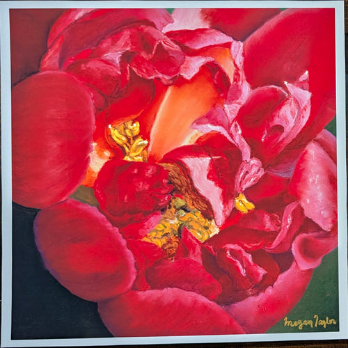 Close-up of a vibrant red flower with a gold center, signed 'Megan Taylor'.