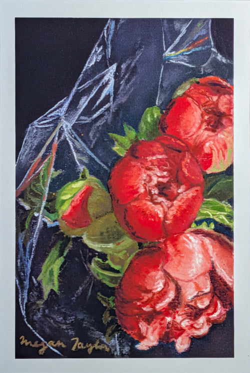 Artistic depiction of red peonies with green leaves on a dark background, signed 'Megan Taylor'.