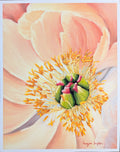 Close-up of a pink flower with a detailed center of green and yellow stamen 