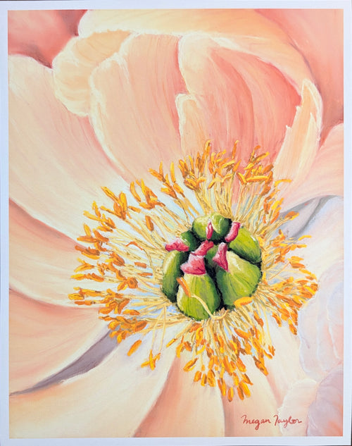 Close-up of a pink flower with a detailed center of green and yellow stamen 