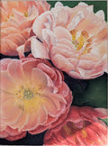 Close-up of pink flowers with a focus on texture and color.