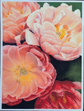 Close-up of pink flowers with yellow centers on a dark background
