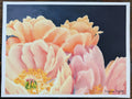 Close-up of pink and peach flowers with a dark background
