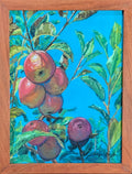 Apples