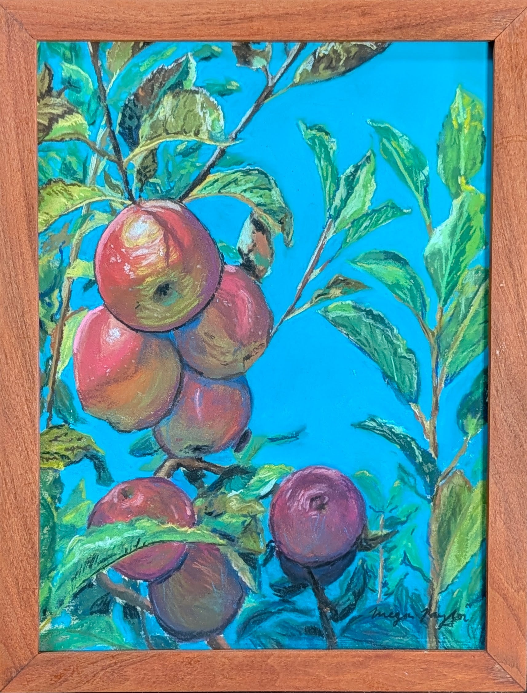 Apples