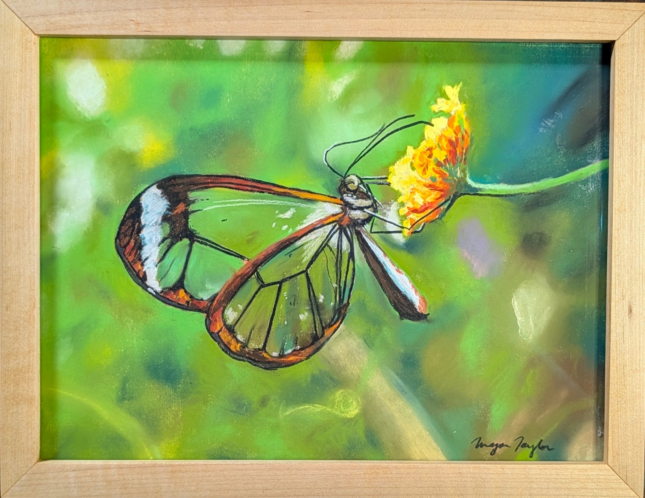 Glasswing
